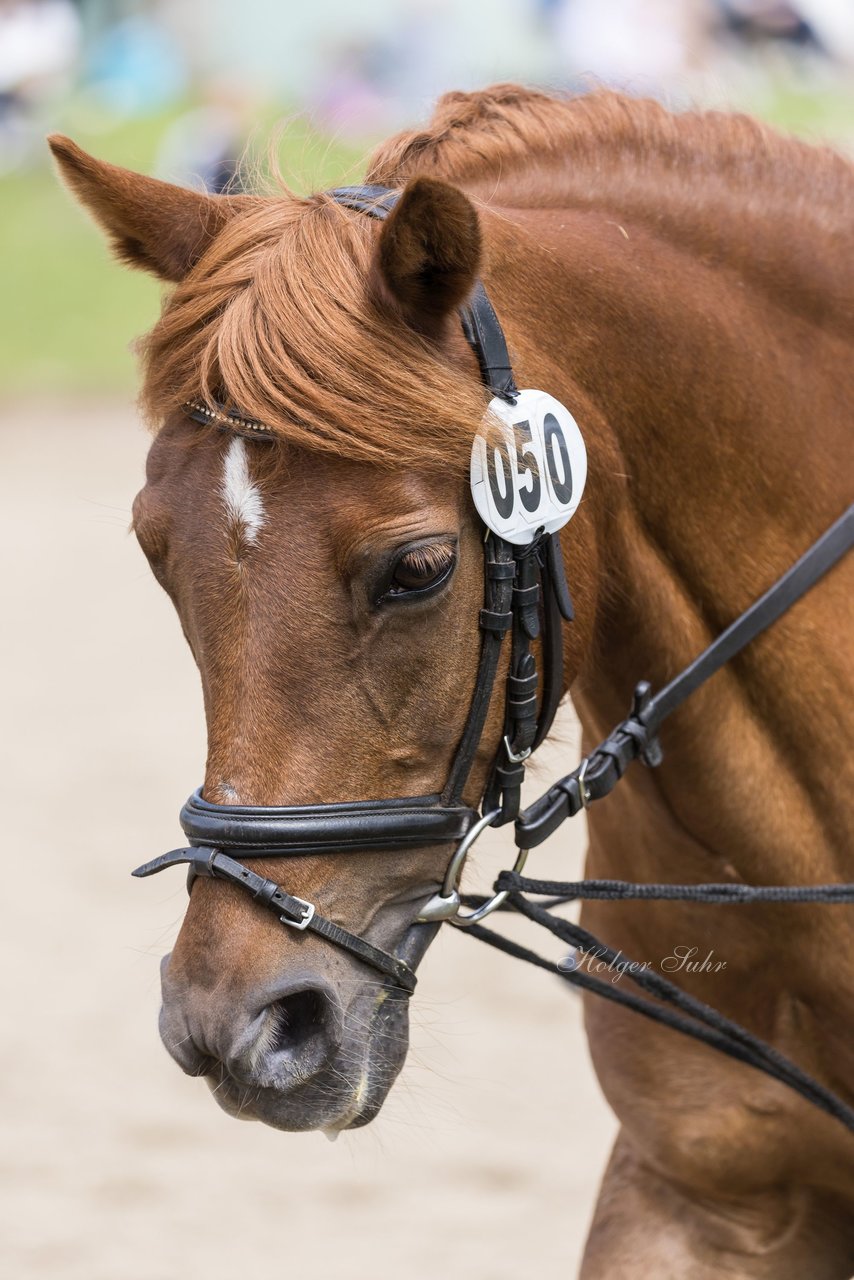 Bild 150 - Pony Akademie Turnier